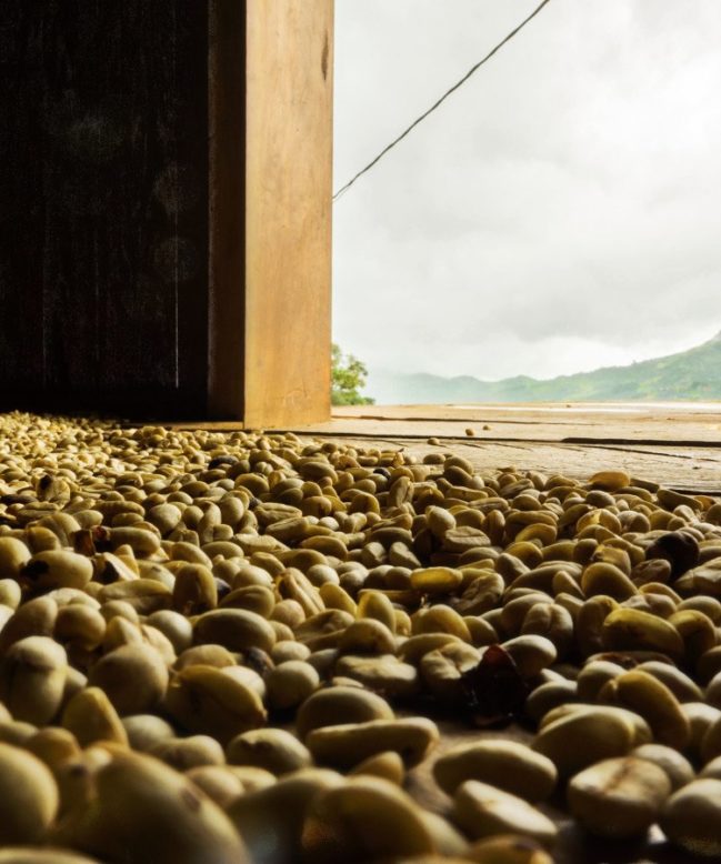 Peru Cenfrocafe Coffee Beans